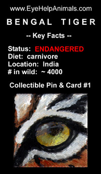 Wildlife Eye Collectible Pin & Card at EyeHelpAnimals.com