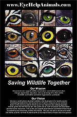 Exclusive Wildlife Eyes Poster Design at EyeHelpAnimals.com